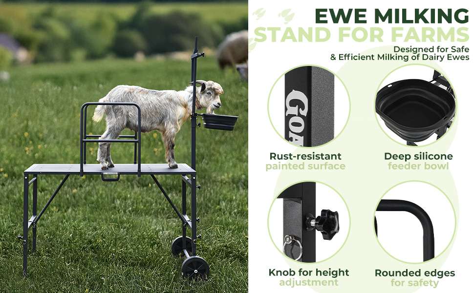 Brete movil galvanizado para cabras y ovejas con ruedas. Plataforma de ordeño y despalme ajustable que soporta 272 kilos.