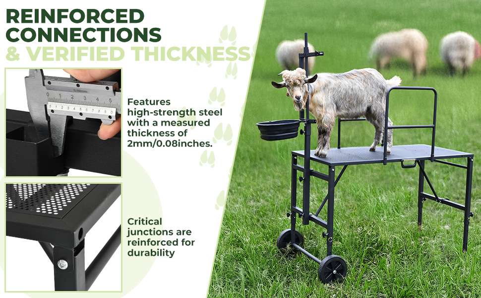 Brete movil galvanizado para cabras y ovejas con ruedas. Plataforma de ordeño y despalme ajustable que soporta 272 kilos.