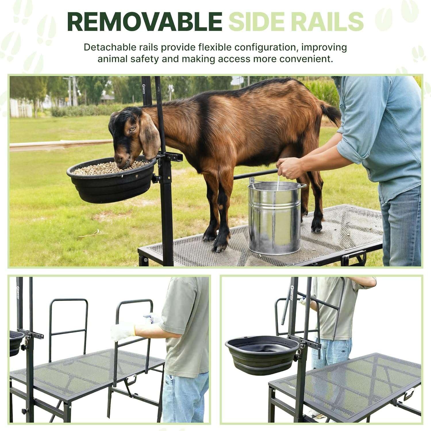 Brete movil galvanizado para cabras y ovejas con ruedas. Plataforma de ordeño y despalme ajustable que soporta 272 kilos.