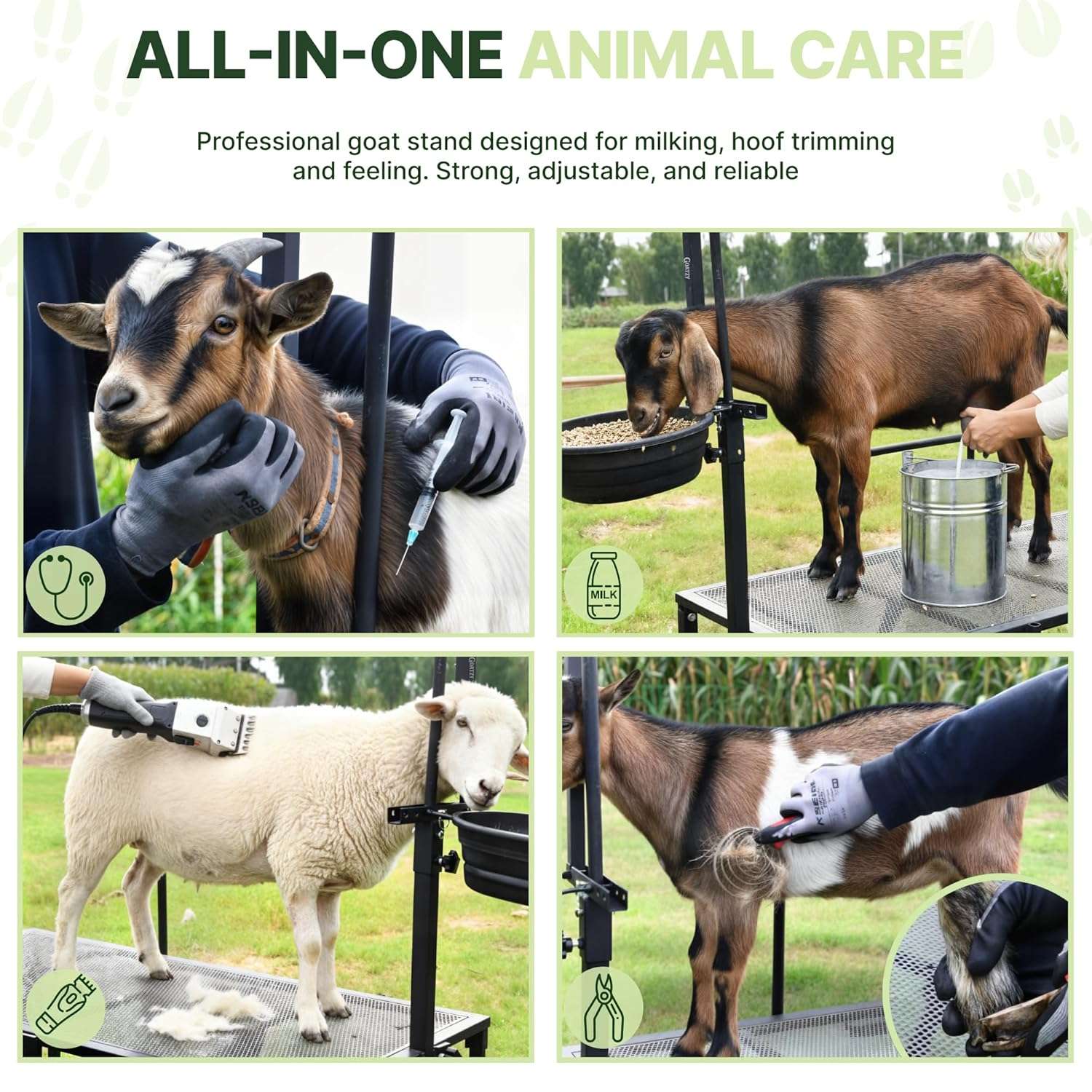 Brete movil galvanizado para cabras y ovejas con ruedas. Plataforma de ordeño y despalme ajustable que soporta 272 kilos.