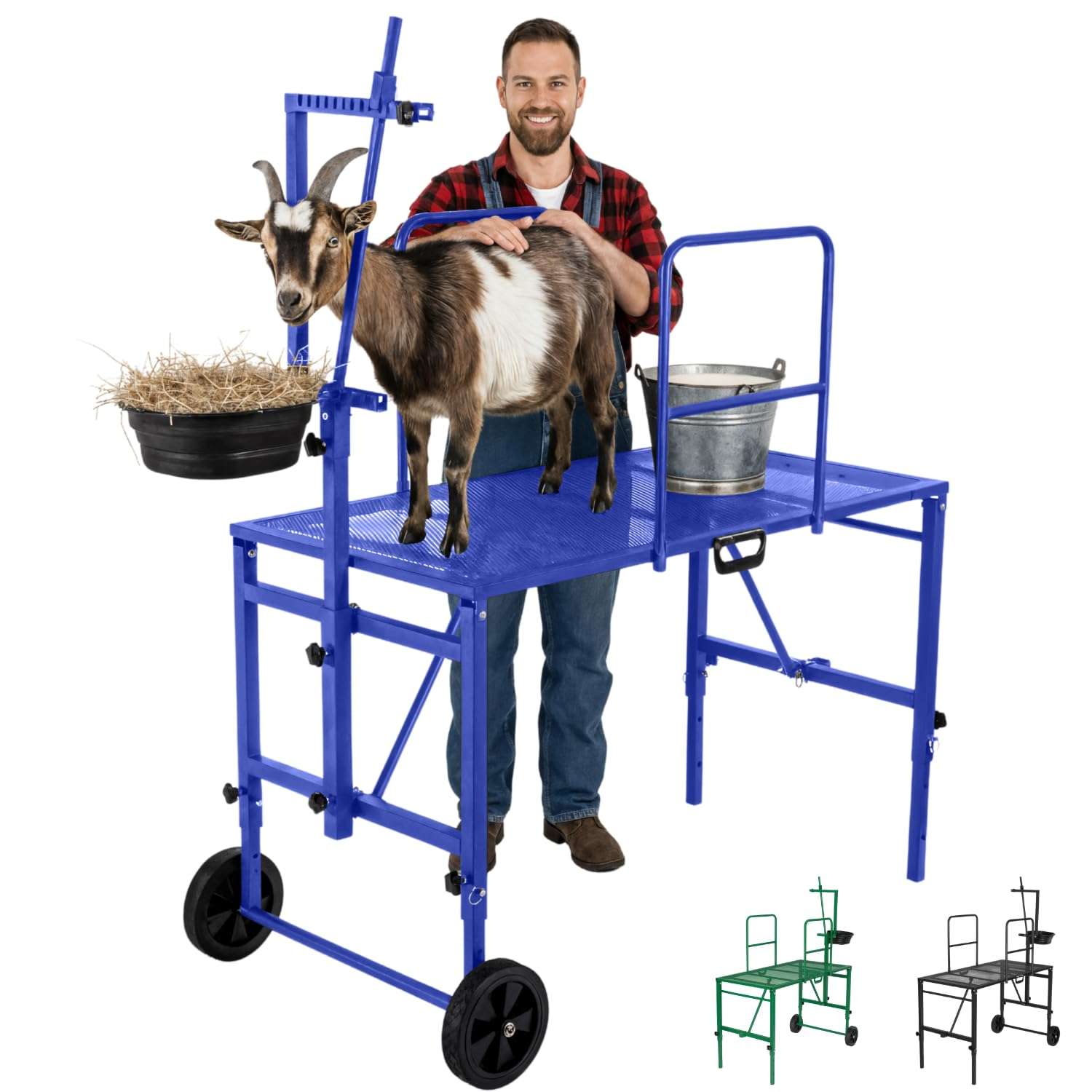 Brete movil galvanizado para cabras y ovejas con ruedas. Plataforma de ordeño y despalme ajustable que soporta 272 kilos.