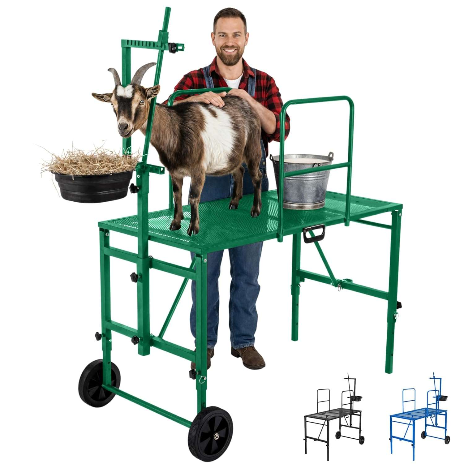 Brete movil galvanizado para cabras y ovejas con ruedas. Plataforma de ordeño y despalme ajustable que soporta 272 kilos.