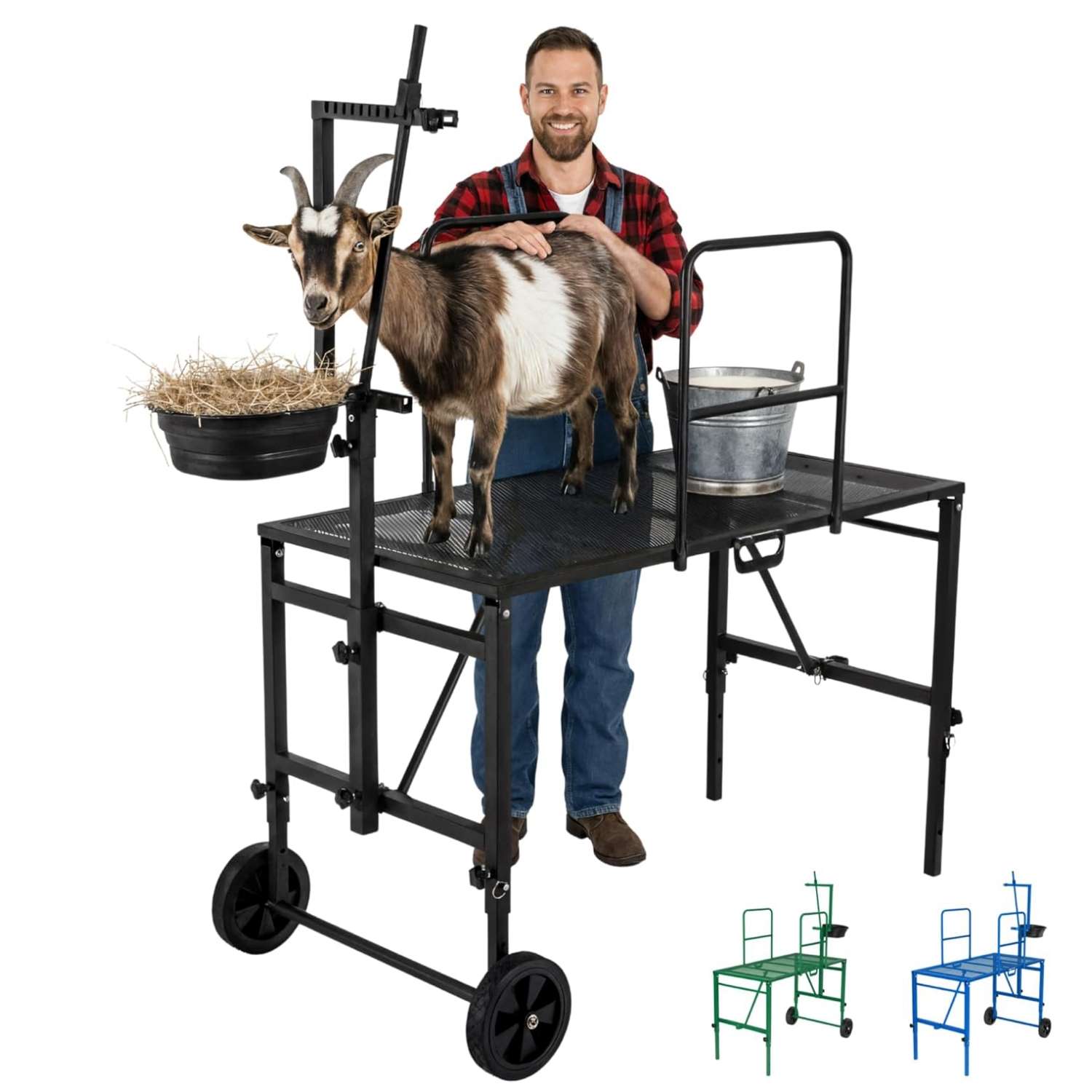 Brete movil galvanizado para cabras y ovejas con ruedas. Plataforma de ordeño y despalme ajustable que soporta 272 kilos.