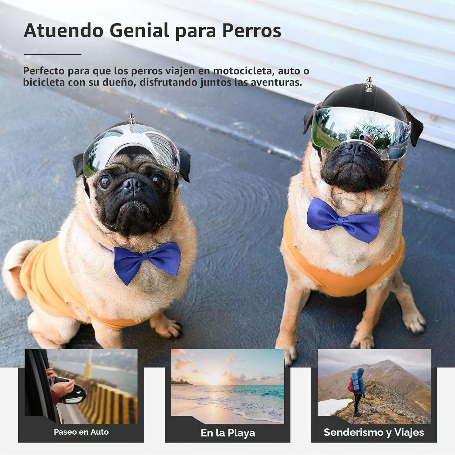 Casco de moto para perros pequeños con visera UV abatible y orificios para orejas.
