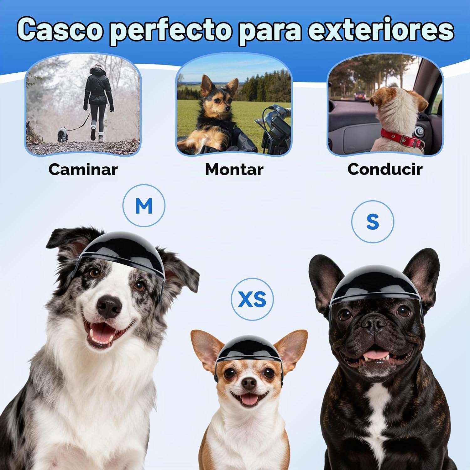 Casco de seguridad para perro con orificios para las orejas y correa ajustable para moto y bici.