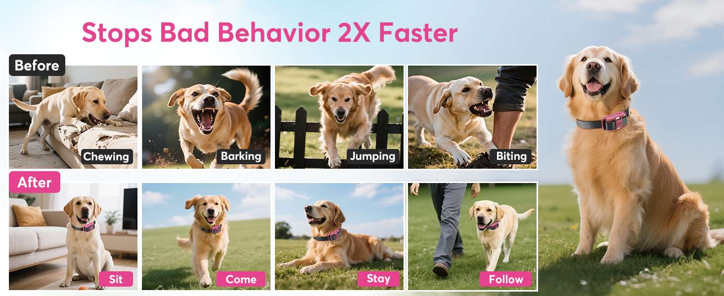 Collar de adiestramiento para perros alcance 1200m impermeable IPX8 con luz LED y vibracion.