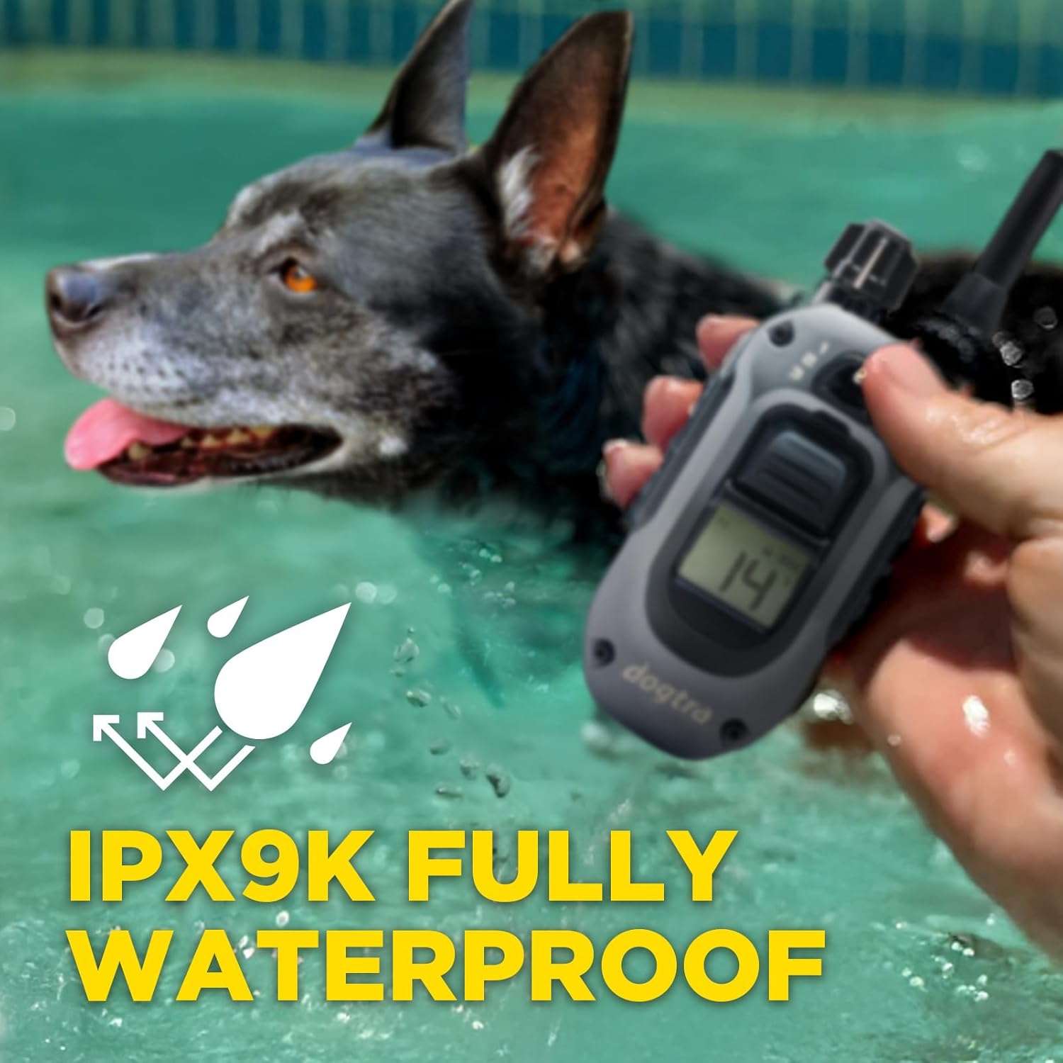 Collar de adiestramiento profesional impermeable para perros con 100 niveles luz LED y vibracion.