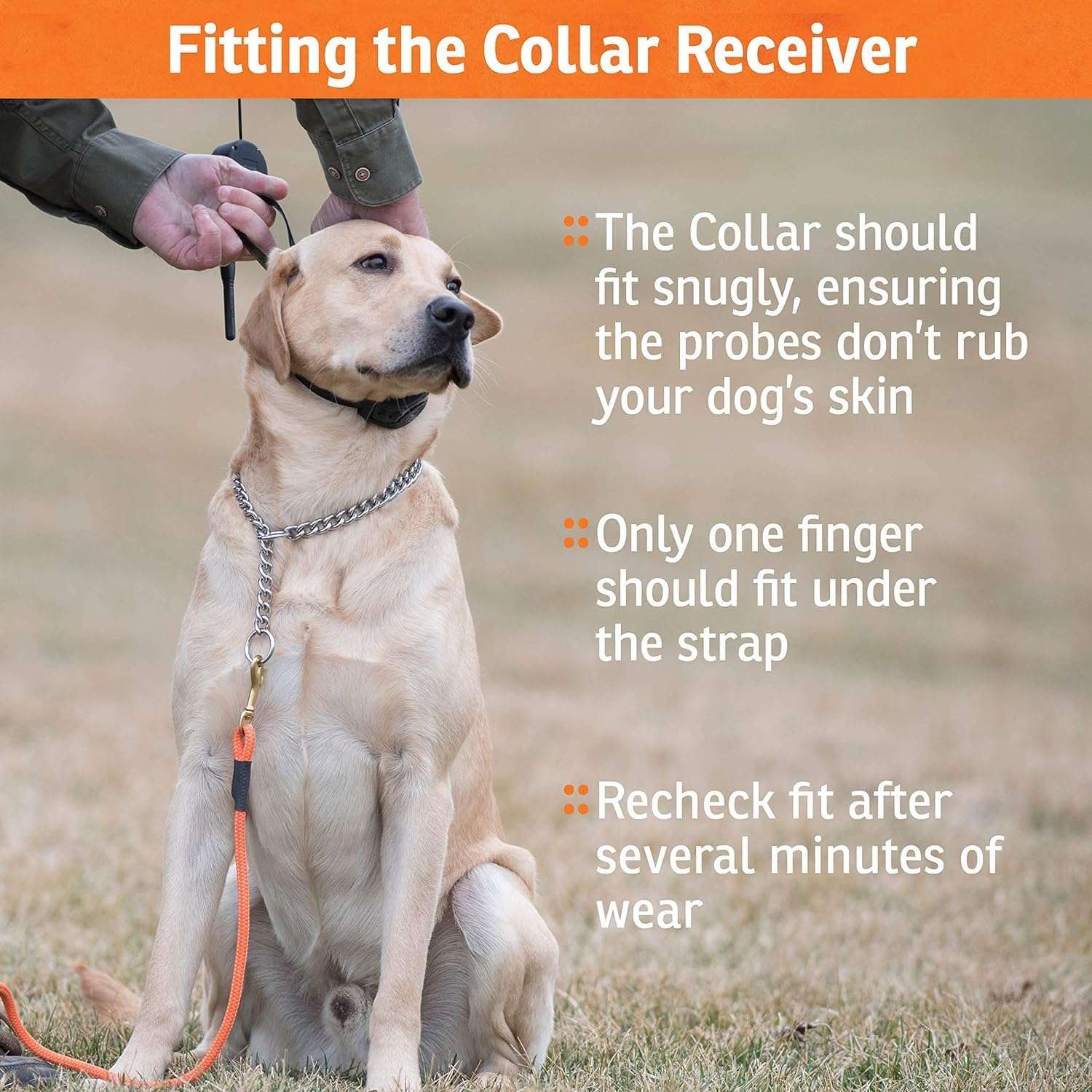 Kit de collar de adiestramiento para 2 perros alcance 450 metros impermeable y recargable con vibracion.