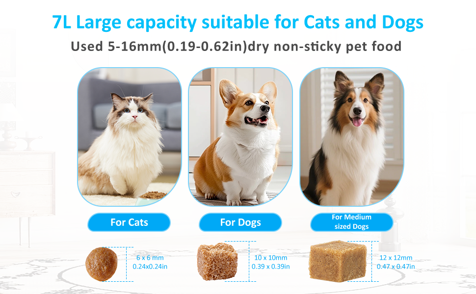 Comedero inteligente blanco con camara HD gran angular y plato inclinado de acero inoxidable capacidad 3.2 kg con conexion WiFi 5G.