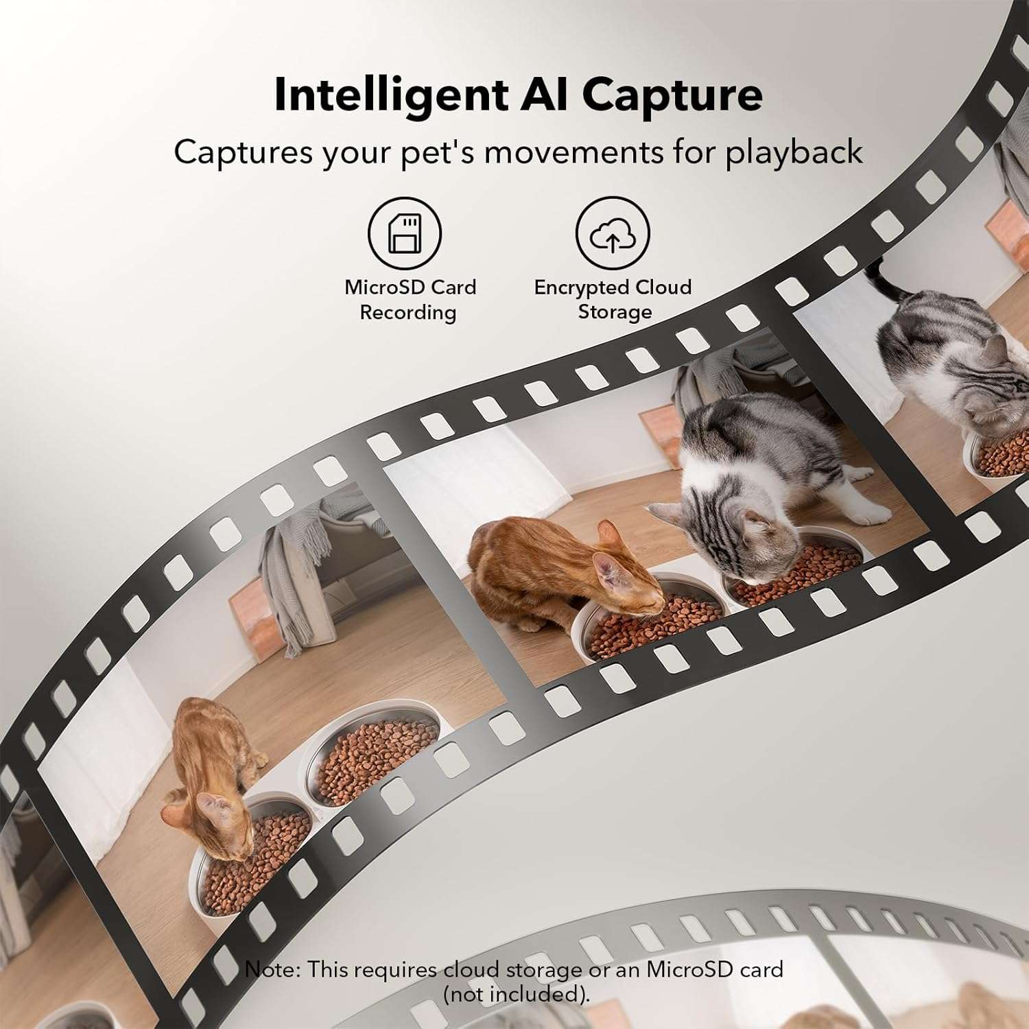Comedero Automatico WiFi 5G con Camara HD 1080P Inteligente 2.3 kg para Gatos y Perros - Imagen 5