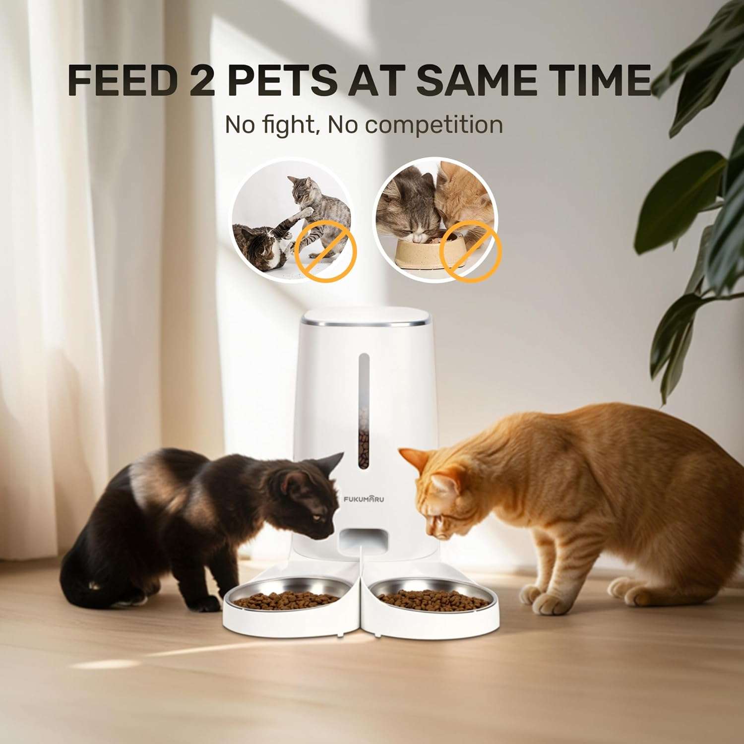 Comedero inteligente blanco para dos gatos con platos de acero inoxidable 304 capacidad 2 kg y conexion WiFi compatible con Smartlife.