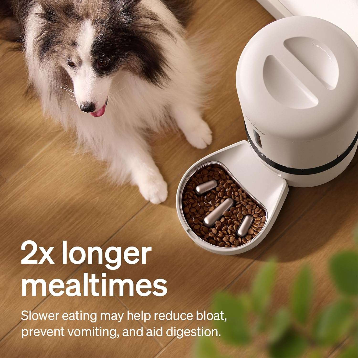 Comedero inteligente para gatos con camara HD 1080P plato de alimentacion lenta de acero inoxidable y capacidad de 2 kg color blanco.