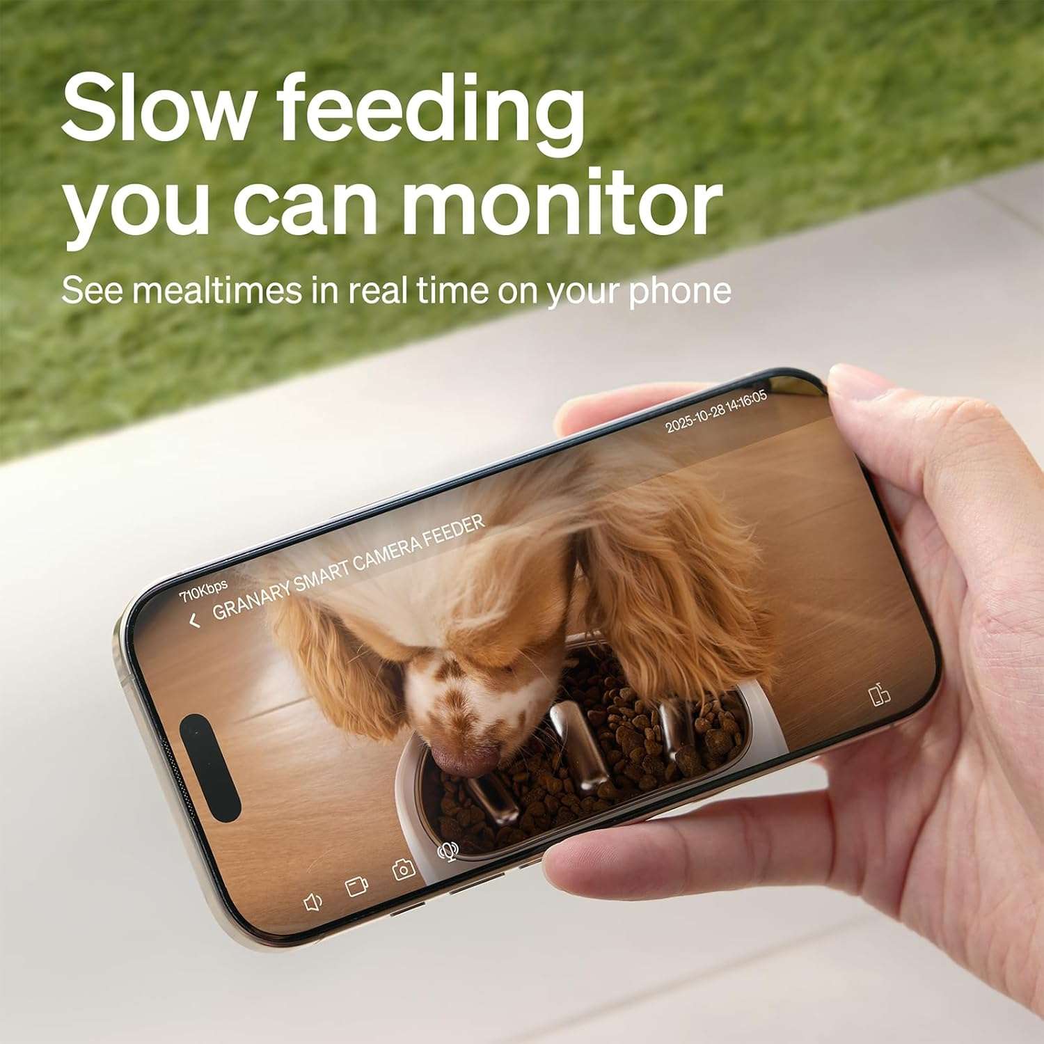 Comedero inteligente para gatos con camara HD 1080P plato de alimentacion lenta de acero inoxidable y capacidad de 2 kg color blanco.