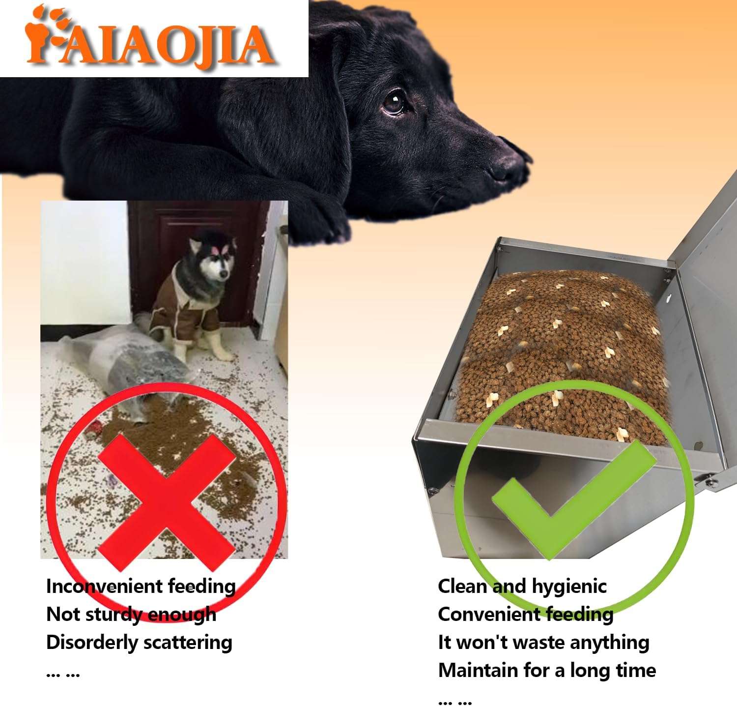 Comedero Automatico por Gravedad de Acero Inoxidable para Perros Grandes 11 kg y 23 kg - Imagen 6