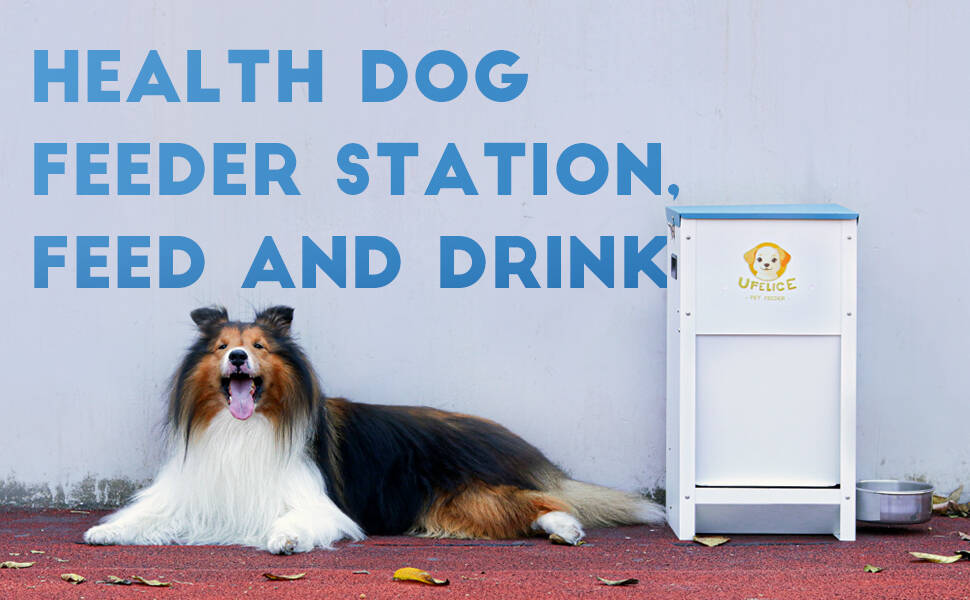 Comedero para perros grandes de acero galvanizado capacidad 11 kilos con sistema de gravedad y cierre magnetico.