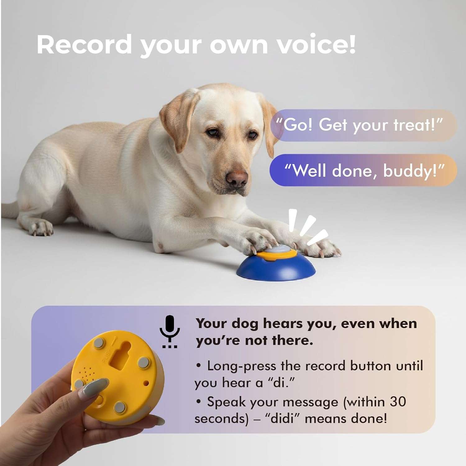Dispensador de premios blanco interactivo para perros con boton remoto inalambrico y sistema de grabacion de voz para entrenamiento e inteligencia.