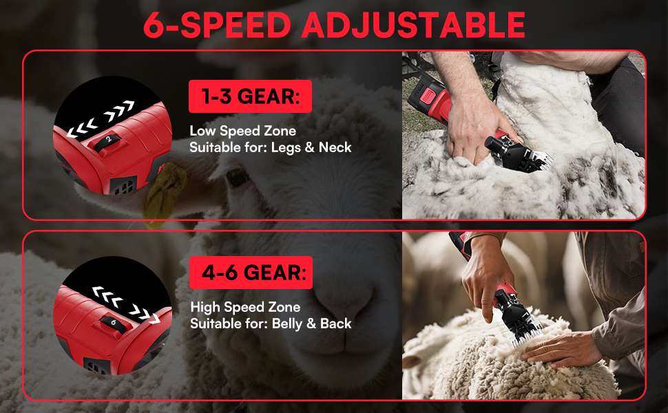 Esquiladora inalambrica de 500W para ovejas con 2 baterias de 4000 mAh. Motor brushless profesional y maletin.