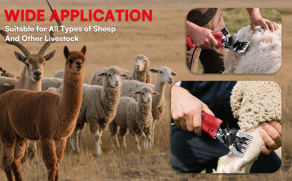 Esquiladora inalambrica de 500W para ovejas con 2 baterias de 4000 mAh. Motor brushless profesional y maletin.