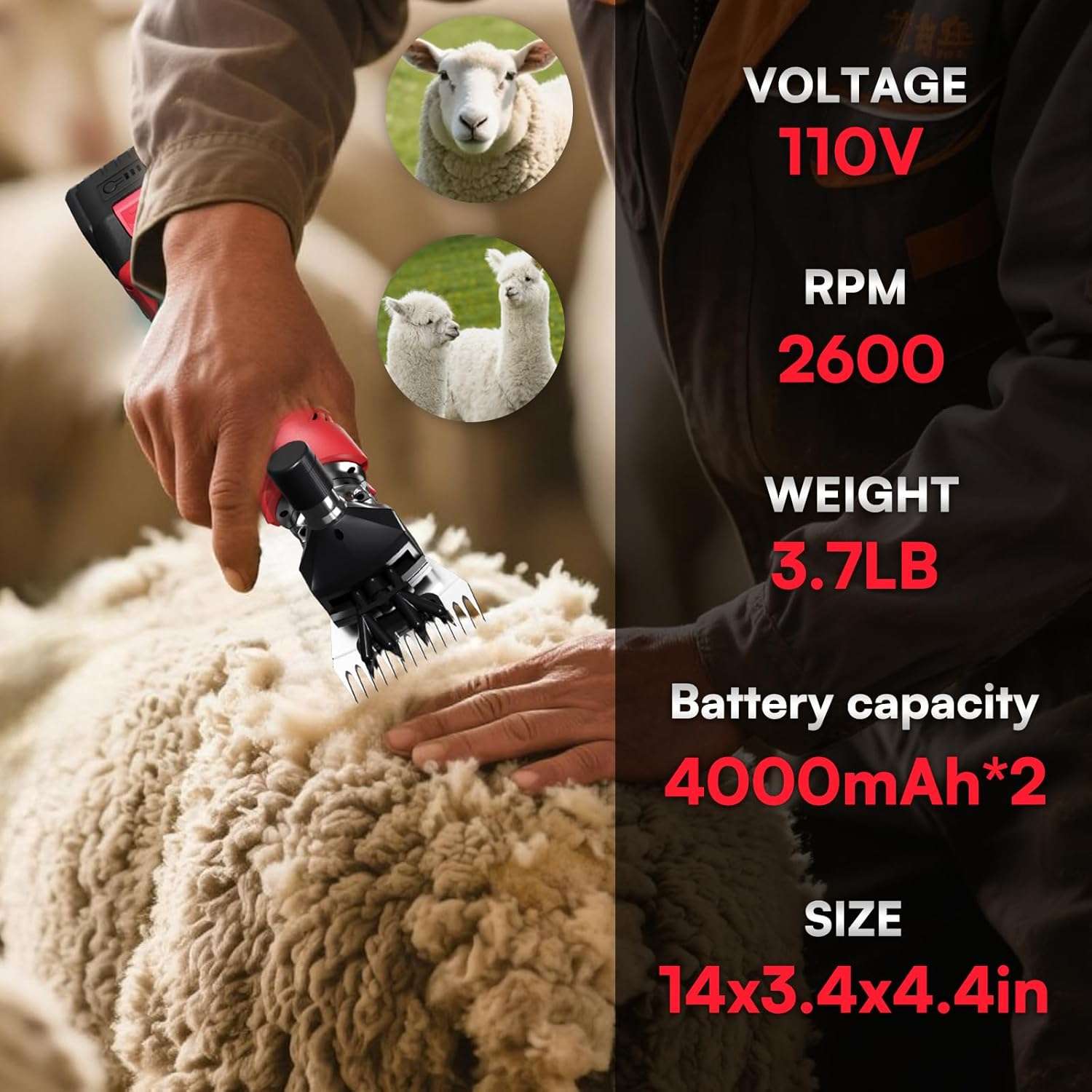 Esquiladora inalambrica de 500W para ovejas con 2 baterias de 4000 mAh. Motor brushless profesional y maletin.