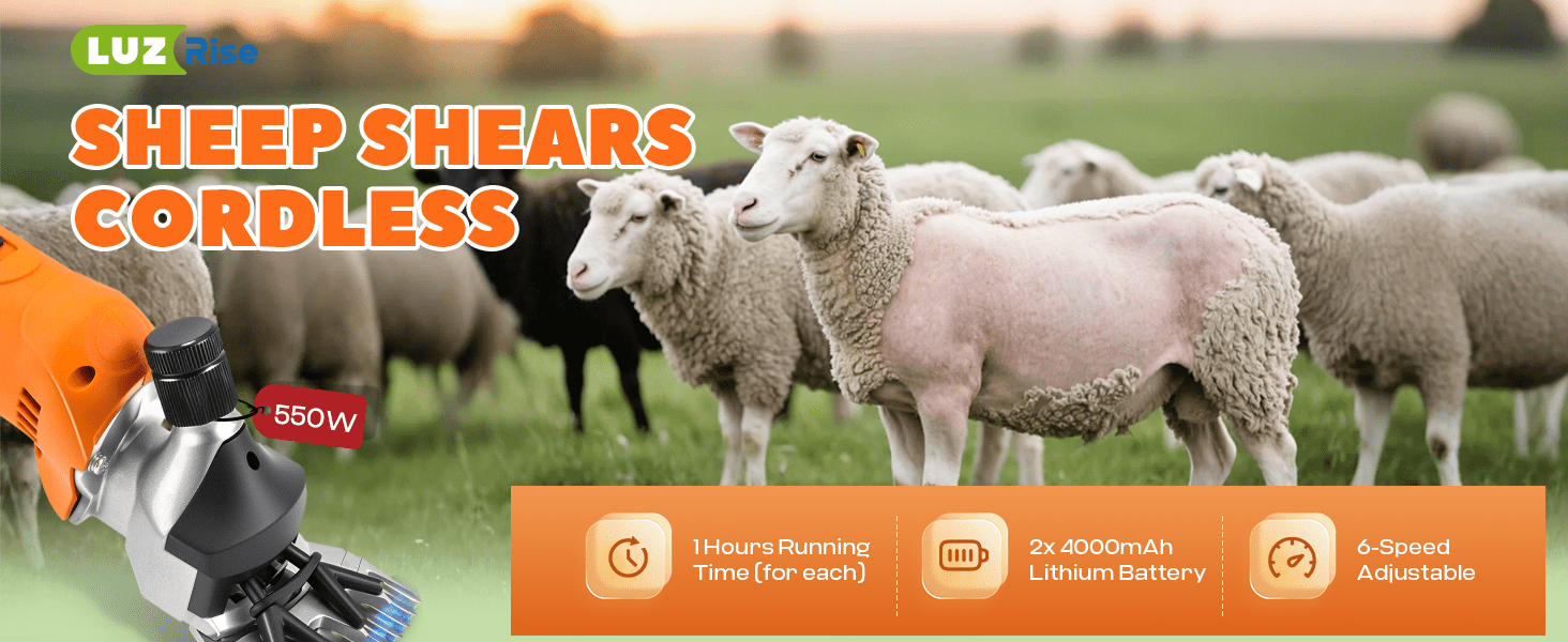 Esquiladora inalambrica de 550W para ovejas y alpacas con 2 baterias de 4000 mAh y maletin de transporte.