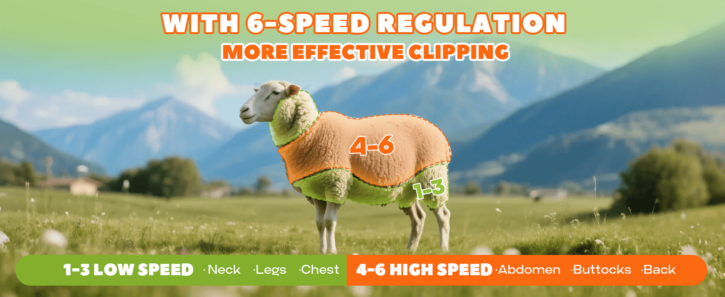 Esquiladora inalambrica de 550W para ovejas y alpacas con 2 baterias de 4000 mAh y maletin de transporte.