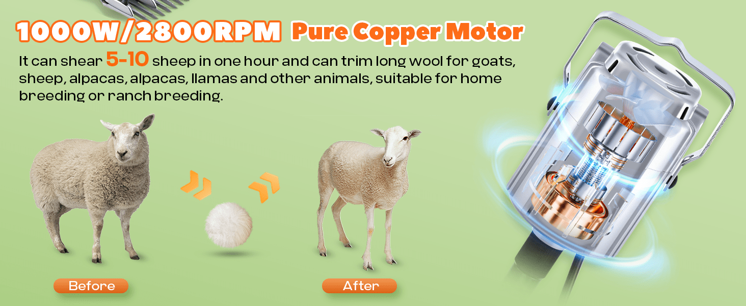 Esquiladora de ovejas y alpacas de 1000W con motor colgante y eje flexible. Kit profesional con cuchillas de acero.