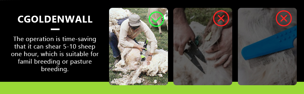 Esquiladora de ovejas y alpacas de 850W con motor de cobre y maletin de transporte. Maquina profesional de 6 velocidades.