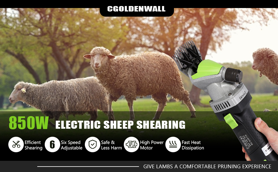 Esquiladora de ovejas y alpacas de 850W con motor de cobre y maletin de transporte. Maquina profesional de 6 velocidades.