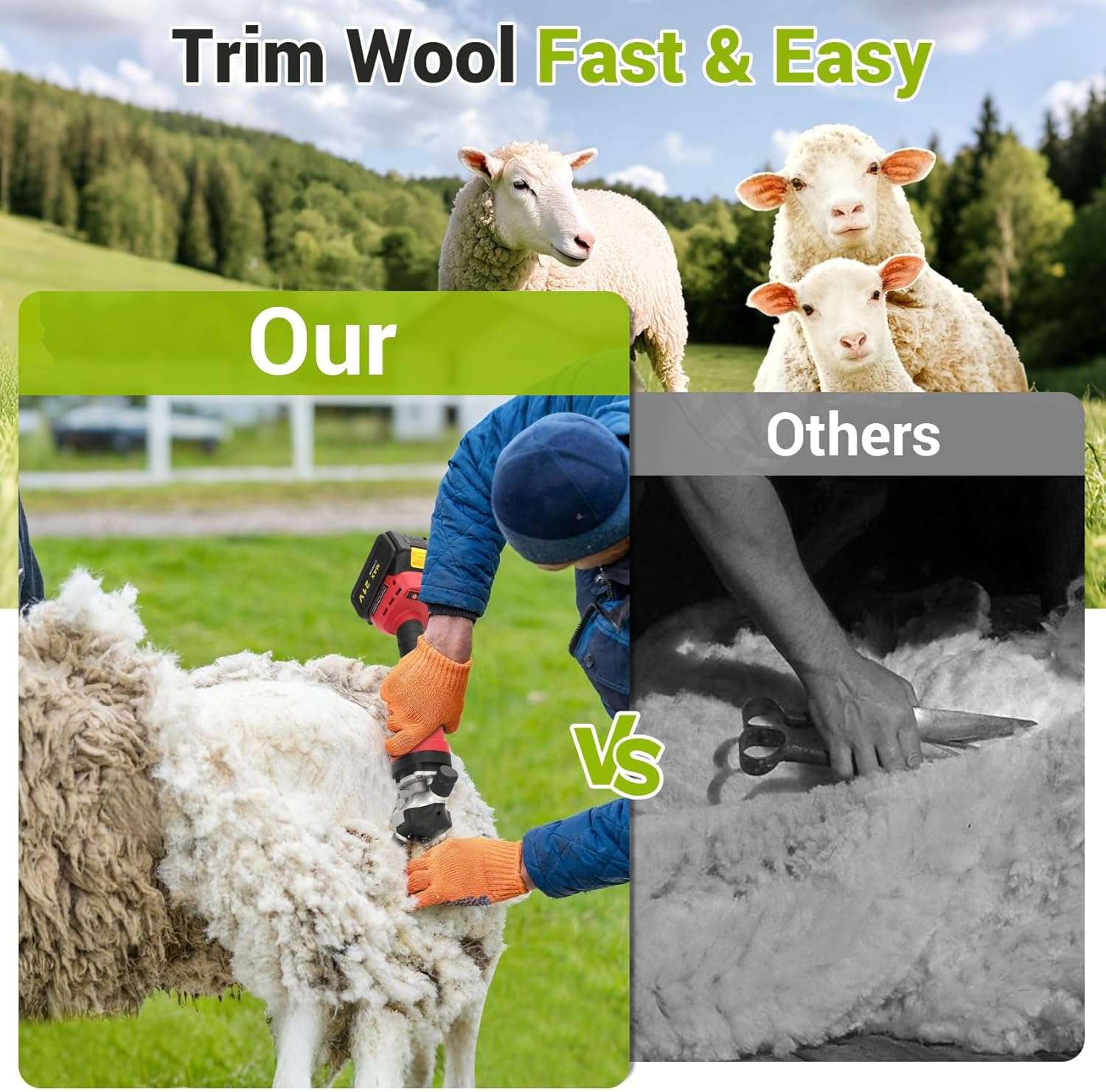 Esquiladora de ovejas y alpacas inalambrica de 500W profesional. Kit con 2 baterias motor brushless y 6 velocidades.
