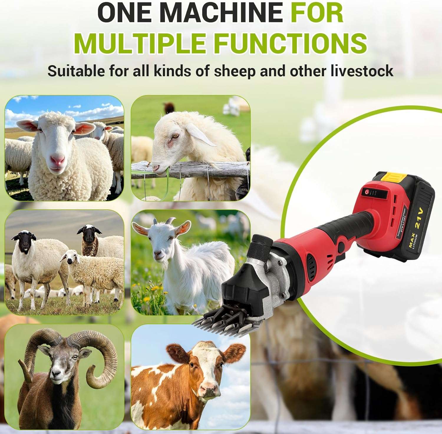 Esquiladora de ovejas y alpacas inalambrica de 500W profesional. Kit con 2 baterias motor brushless y 6 velocidades.