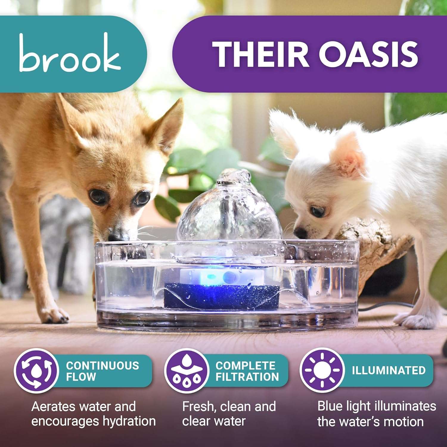 Fuente de agua de vidrio transparente de 2.7 litros para gatos higienica y facil de limpiar en lavavajillas.