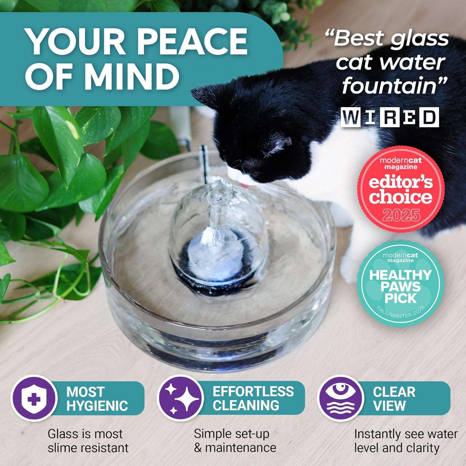 Fuente de agua de vidrio transparente de 2.7 litros para gatos higienica y facil de limpiar en lavavajillas.