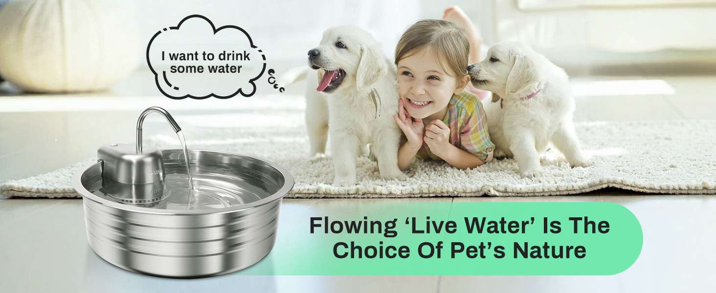 Fuente de agua de 4 litros acero inoxidable tipo grifo para gatos y perros pack con 6 filtros incluidos.