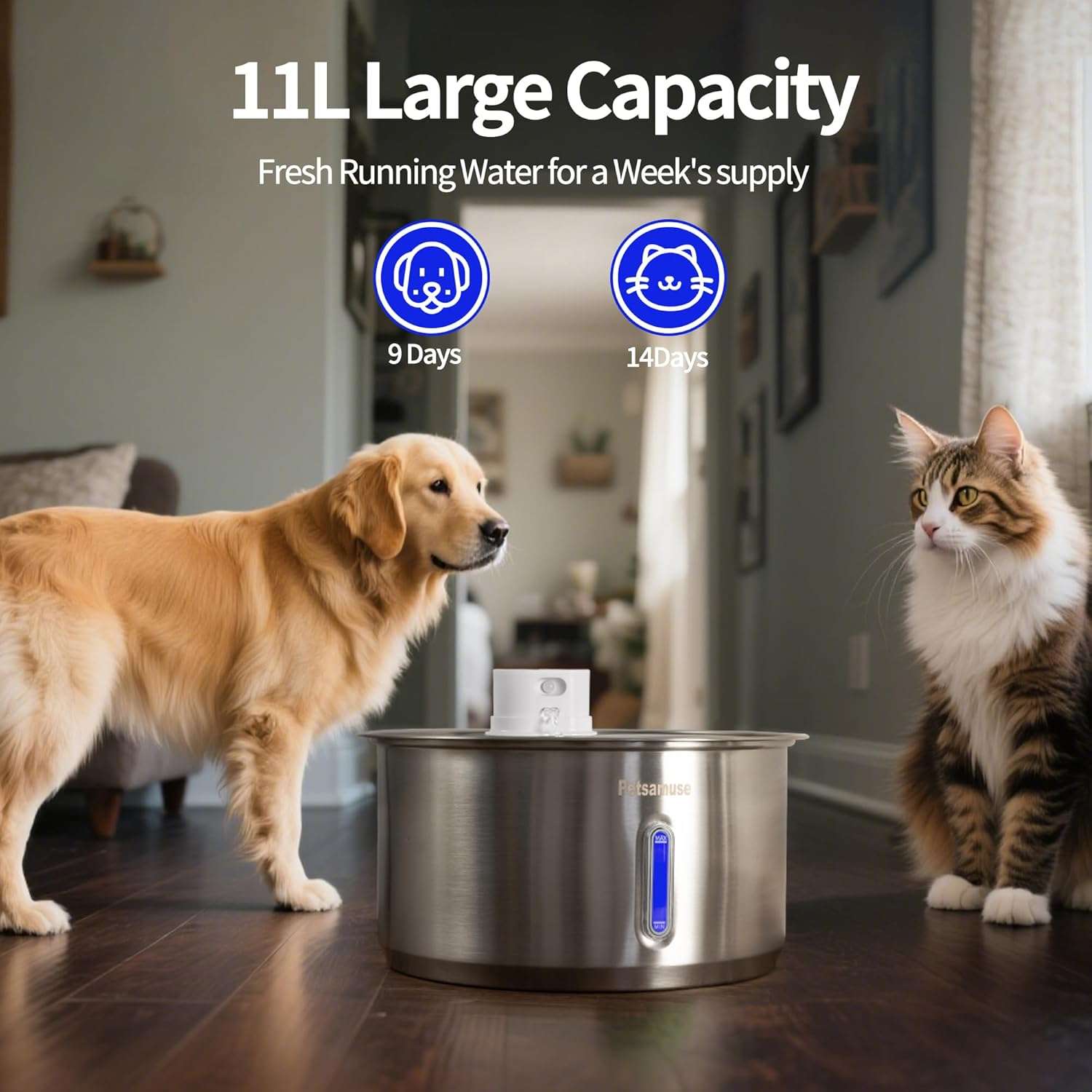 Fuente de agua inalambrica de acero inoxidable 11 litros con 15 filtros sensor de movimiento y bomba de repuesto para perros y gatos.