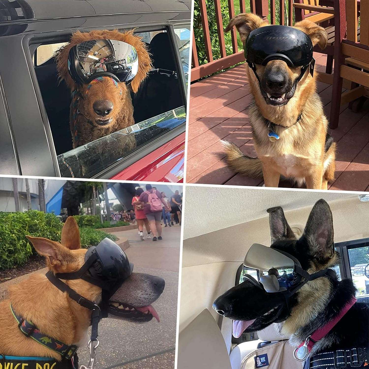 Gafas antiparras magneticas para perros medianos y grandes proteccion UV para moto.