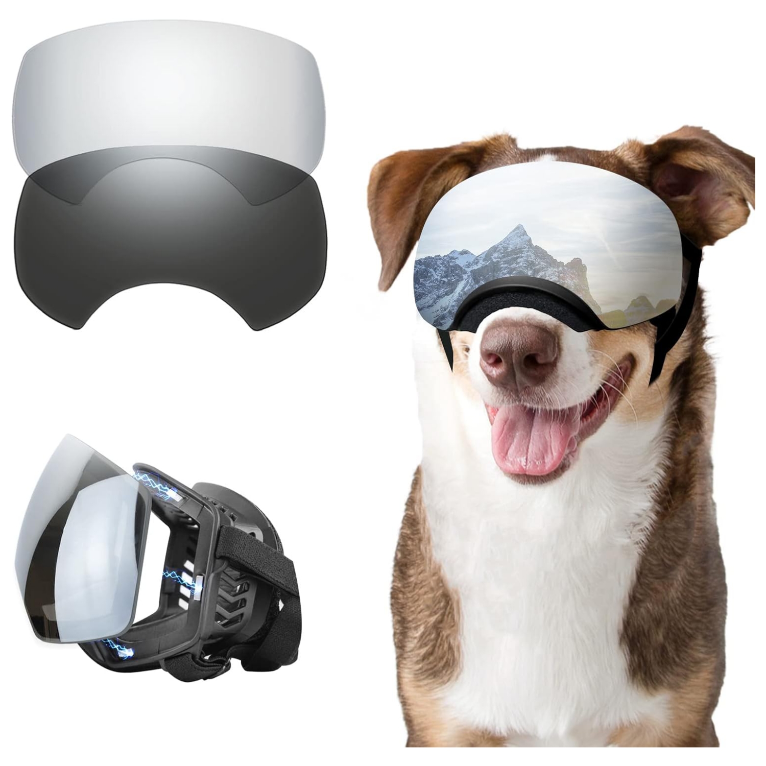 Gafas antiparras magneticas para perros medianos y grandes proteccion UV para moto.