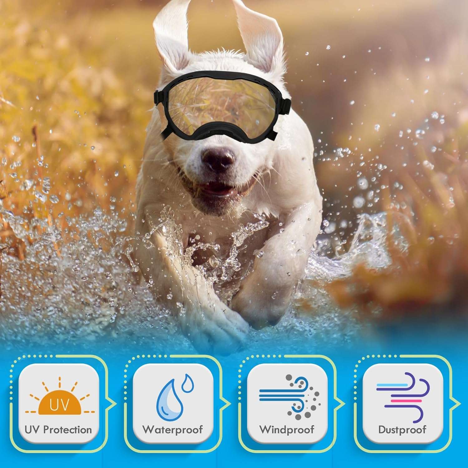 Gafas antiparras inastillables para perros grandes con sistema de triple correa ajustable.