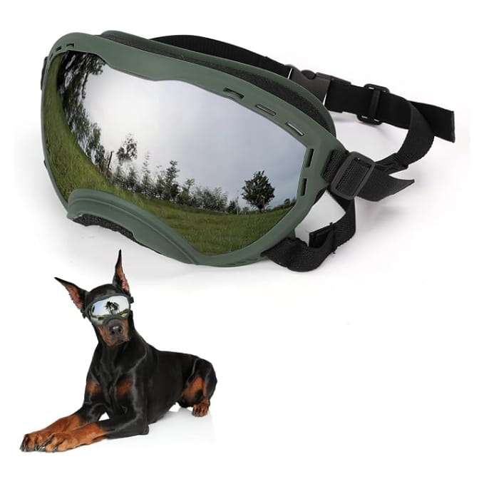 Gafas antiparras inastillables para perros grandes con sistema de triple correa ajustable.