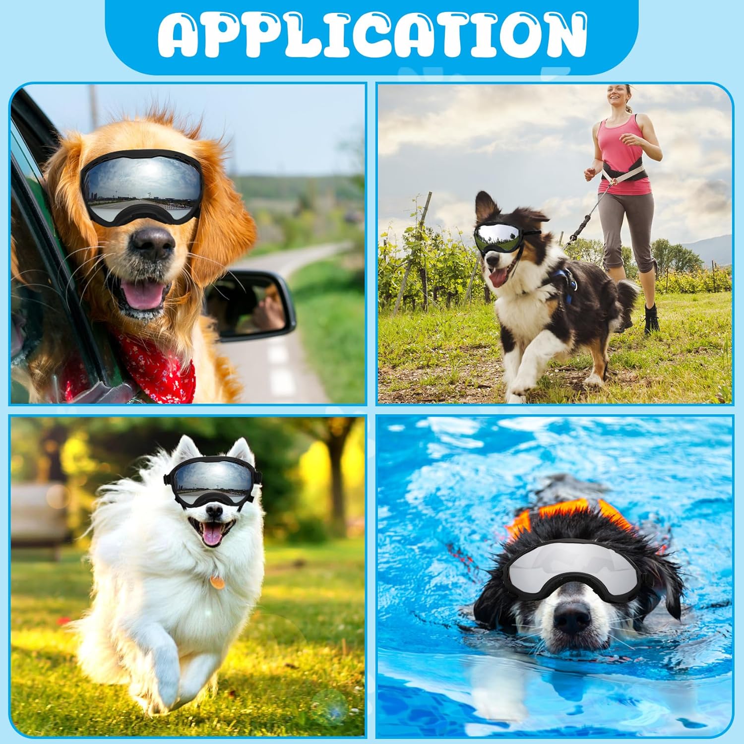 Gafas antiparras inastillables para perros grandes con sistema de triple correa ajustable.