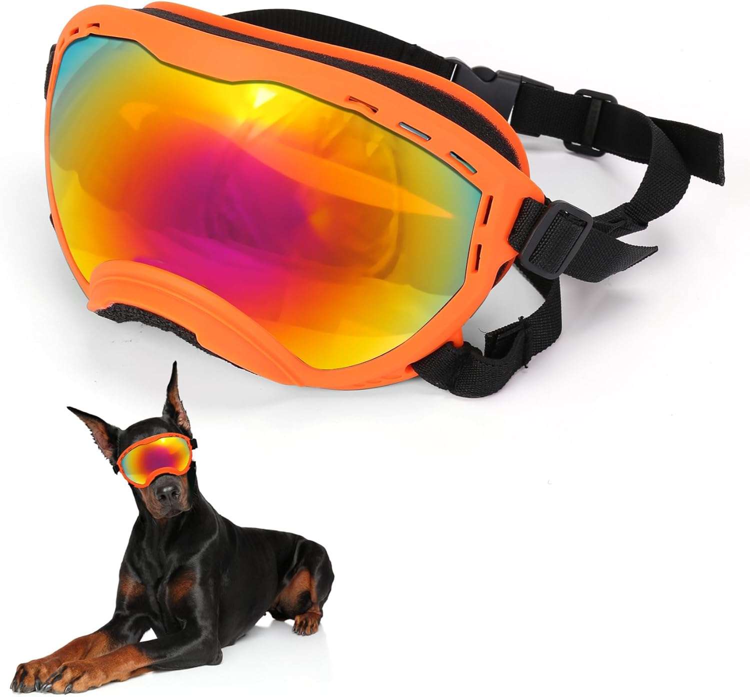 Gafas antiparras inastillables para perros grandes con sistema de triple correa ajustable.