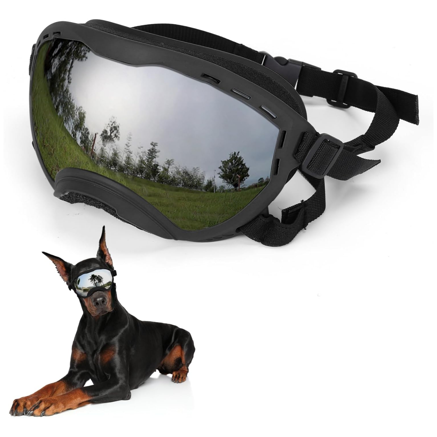 Gafas antiparras inastillables para perros grandes con sistema de triple correa ajustable.
