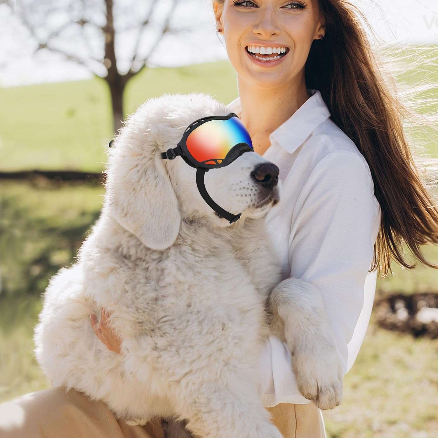 Gafas antiparras para perros grandes con proteccion UV y lentes antivaho ajustables.