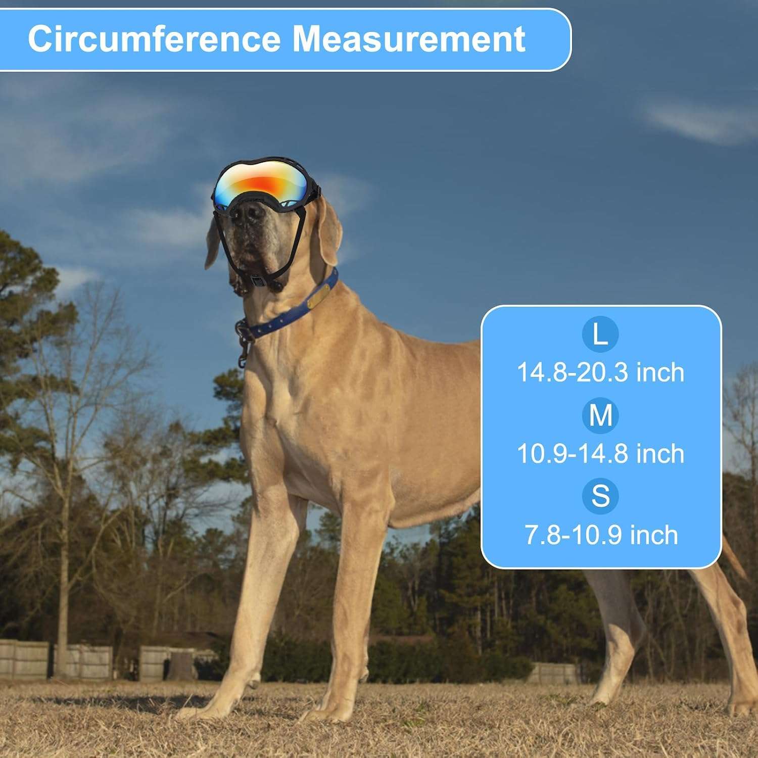 Gafas antiparras para perros grandes con proteccion UV y lentes antivaho ajustables.