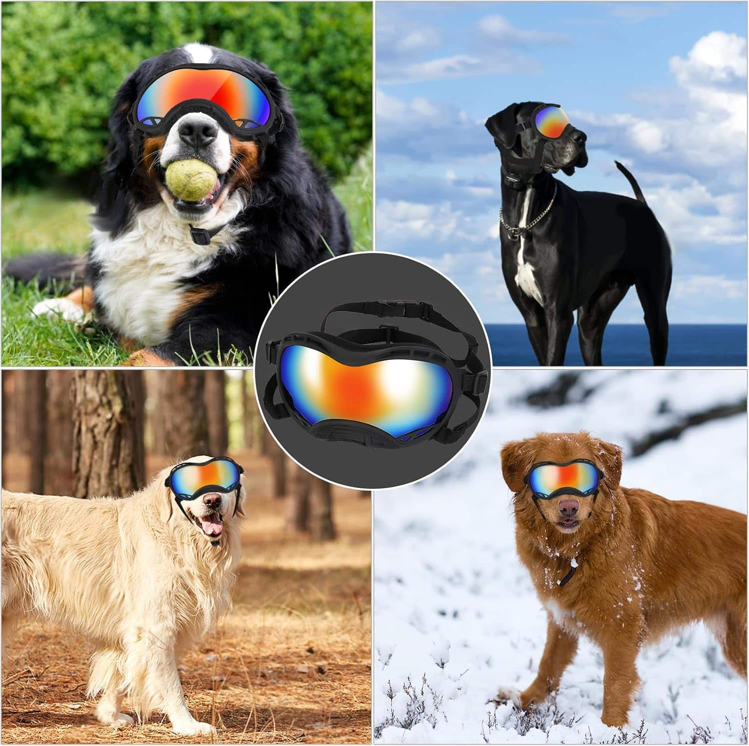 Gafas antiparras para perros grandes con proteccion UV y lentes antivaho ajustables.