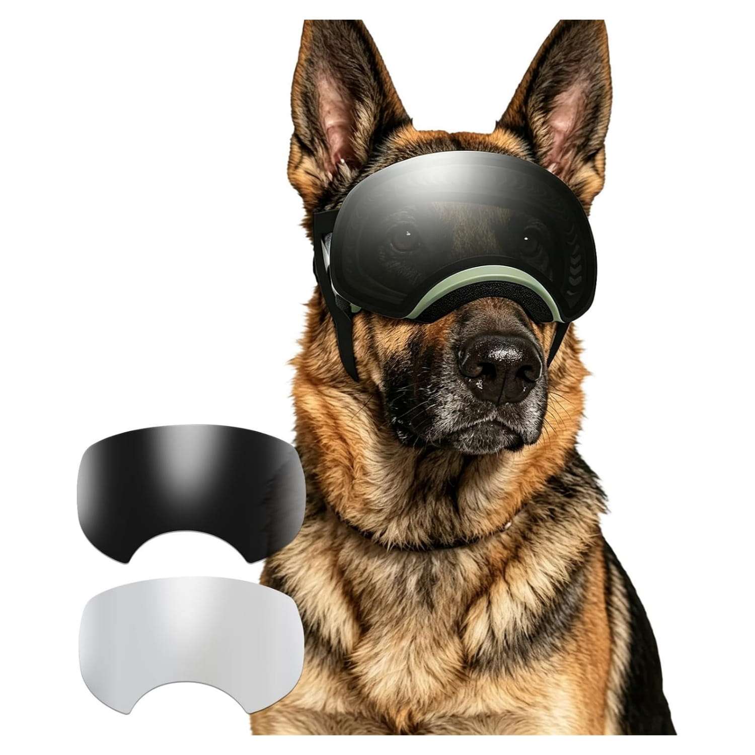 Gafas antiparras para perros con lentes intercambiables negros y plateados proteccion UV400.