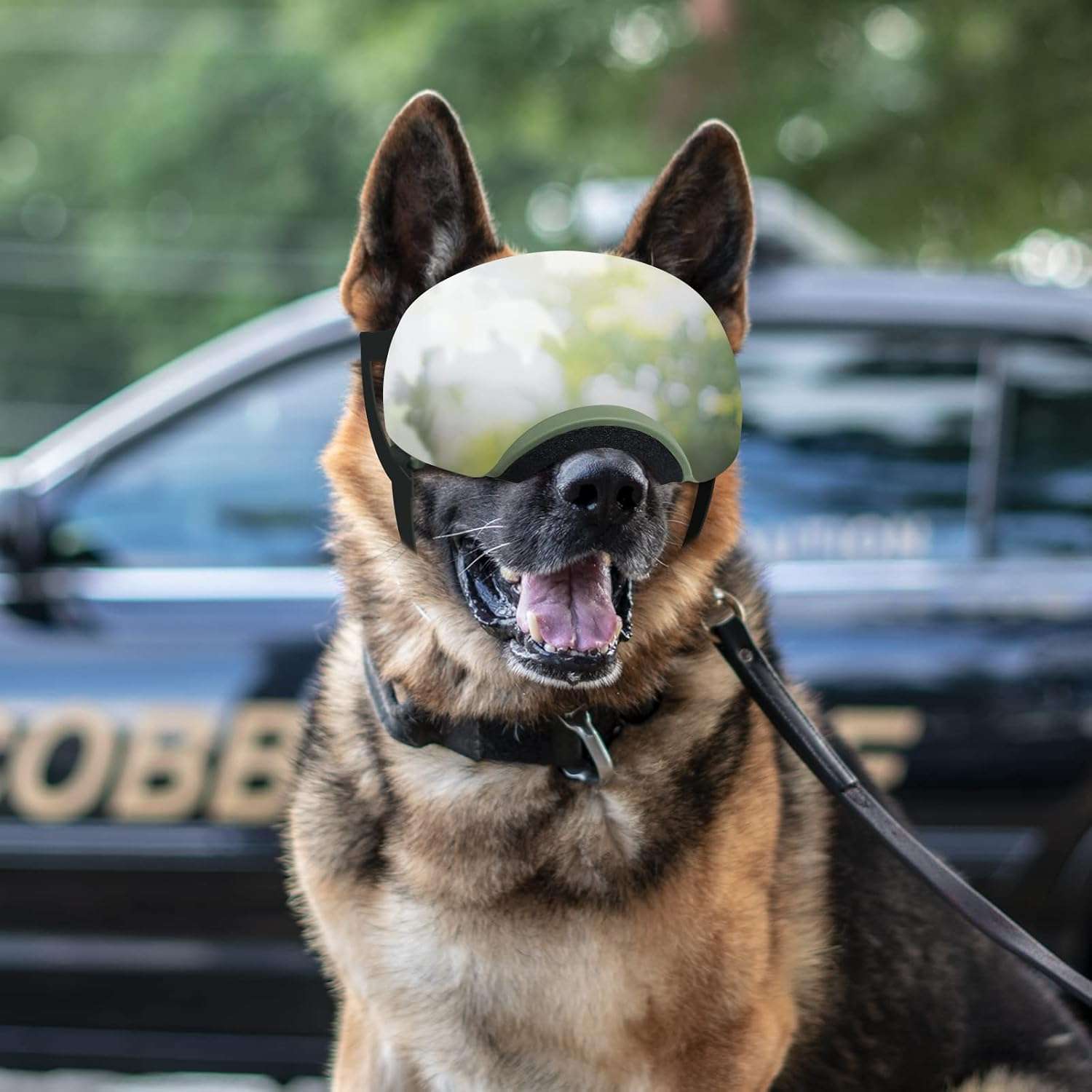 Gafas antiparras para perros con lentes intercambiables negros y plateados proteccion UV400.