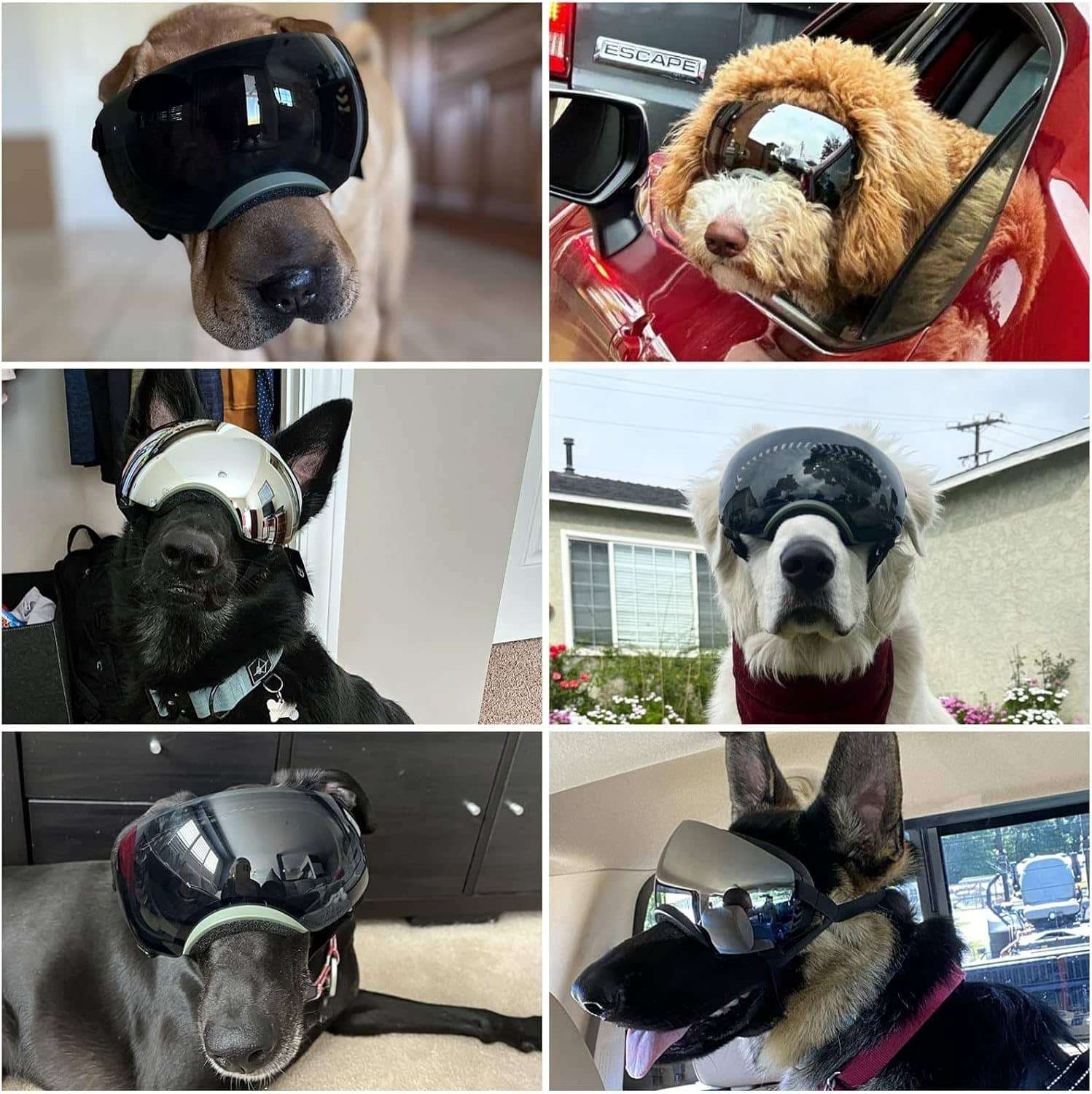 Gafas antiparras para perros con lentes intercambiables negros y plateados proteccion UV400.