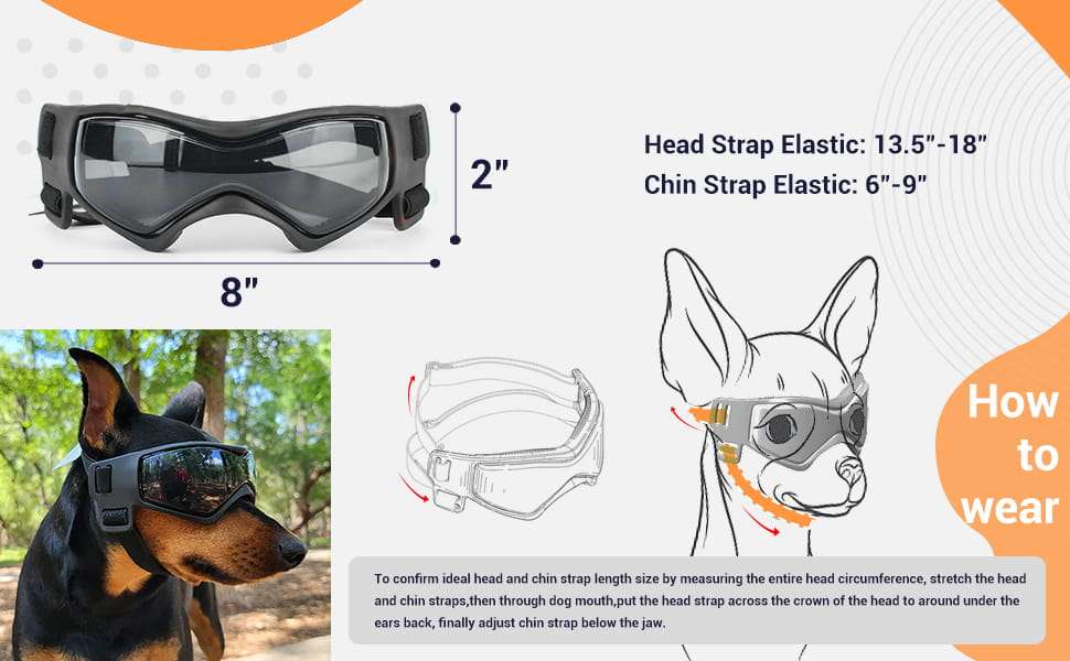 Gafas antiparras para perros medianos como schnauzer y beagle con proteccion UV para auto.