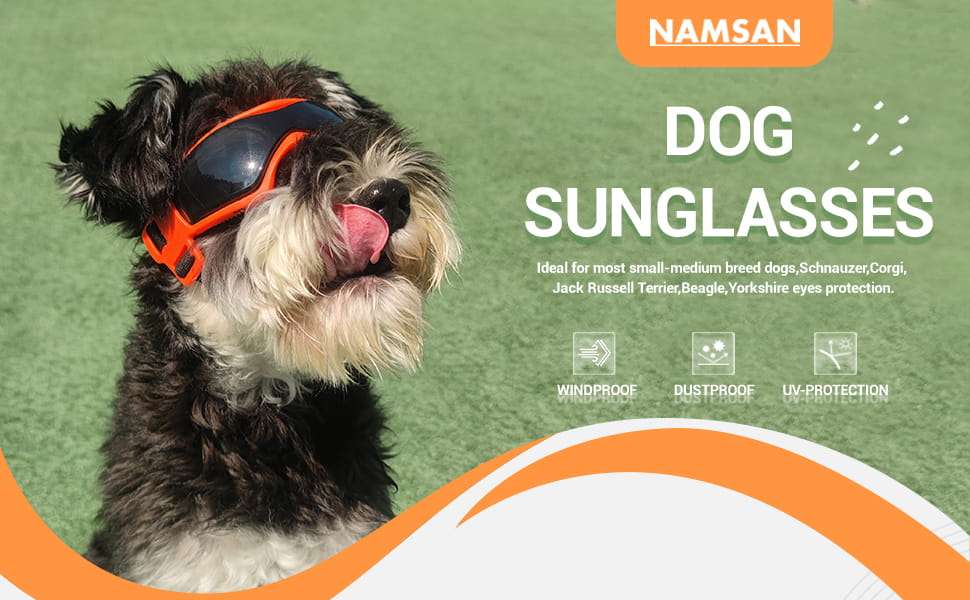 Gafas antiparras para perros medianos como schnauzer y beagle con proteccion UV para auto.