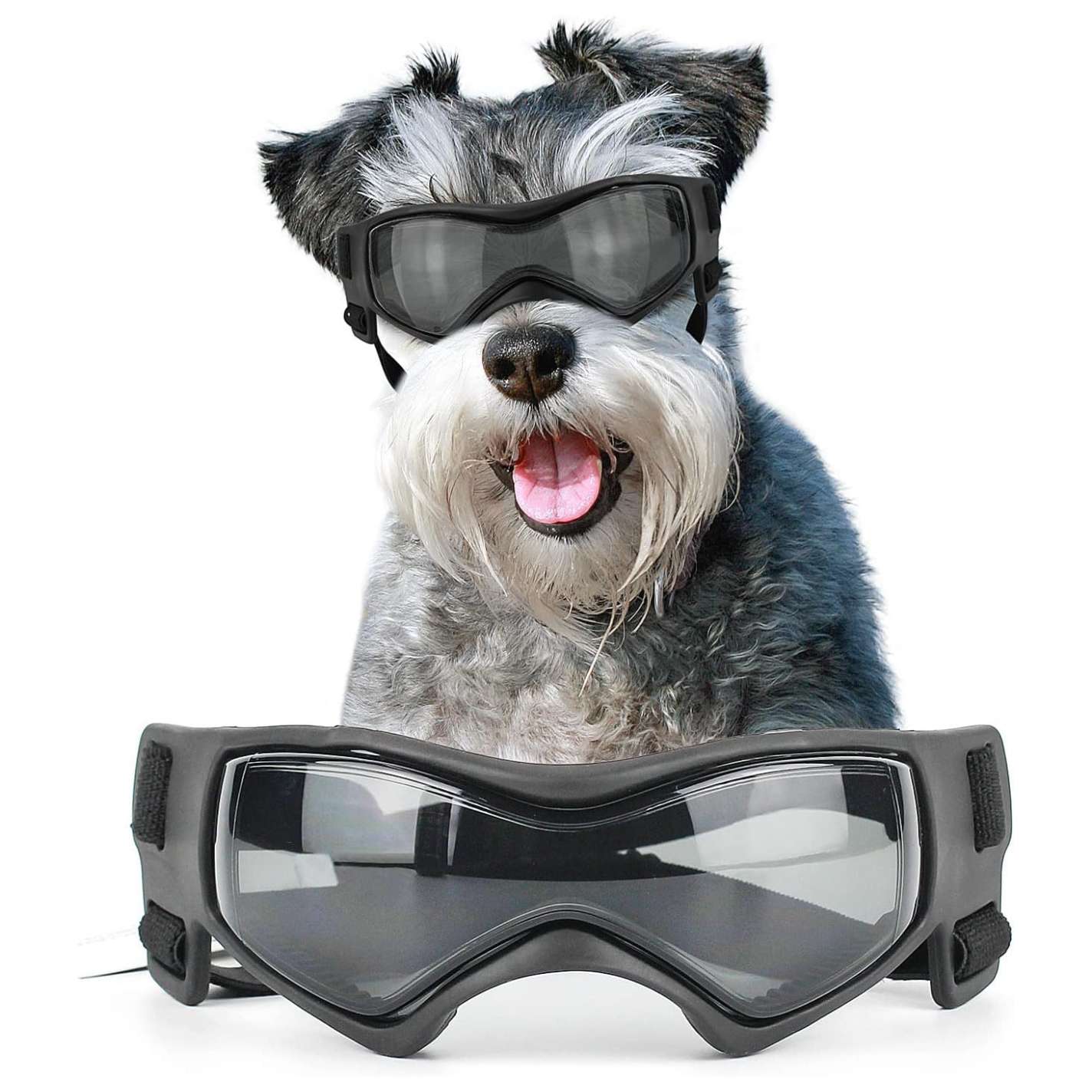 Gafas antiparras para perros medianos como schnauzer y beagle con proteccion UV para auto.